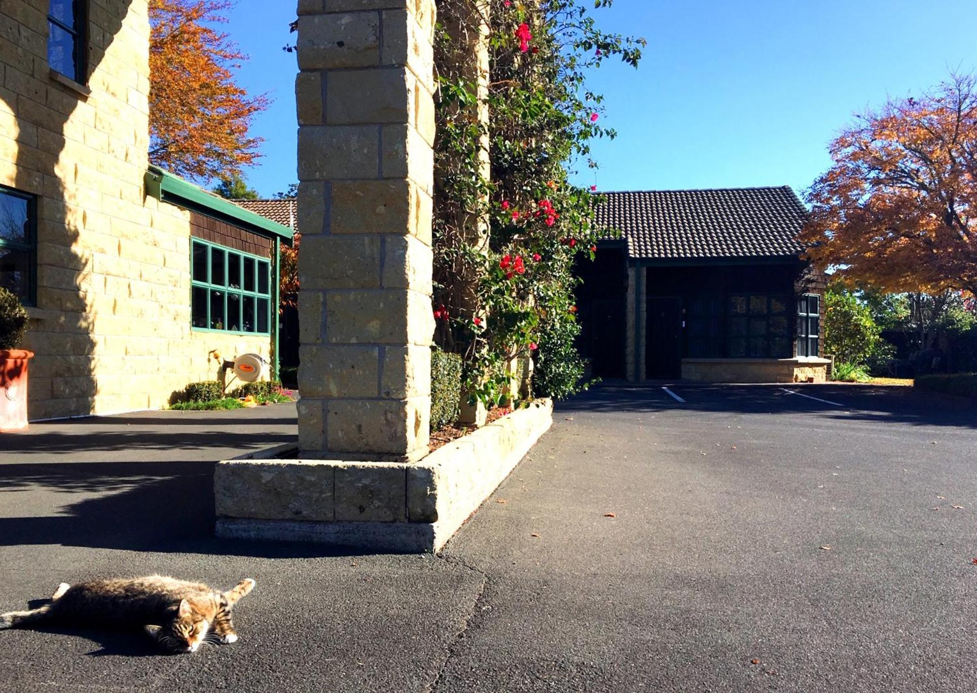 Cambridge Mews Motel Exterior photo